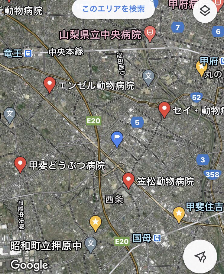 @KTntn49 @bVILtrWLMdAHGY4 そのあたりの動物病院で通院歴とかないかなぁ...
飼い主さんが見つかりますように... 