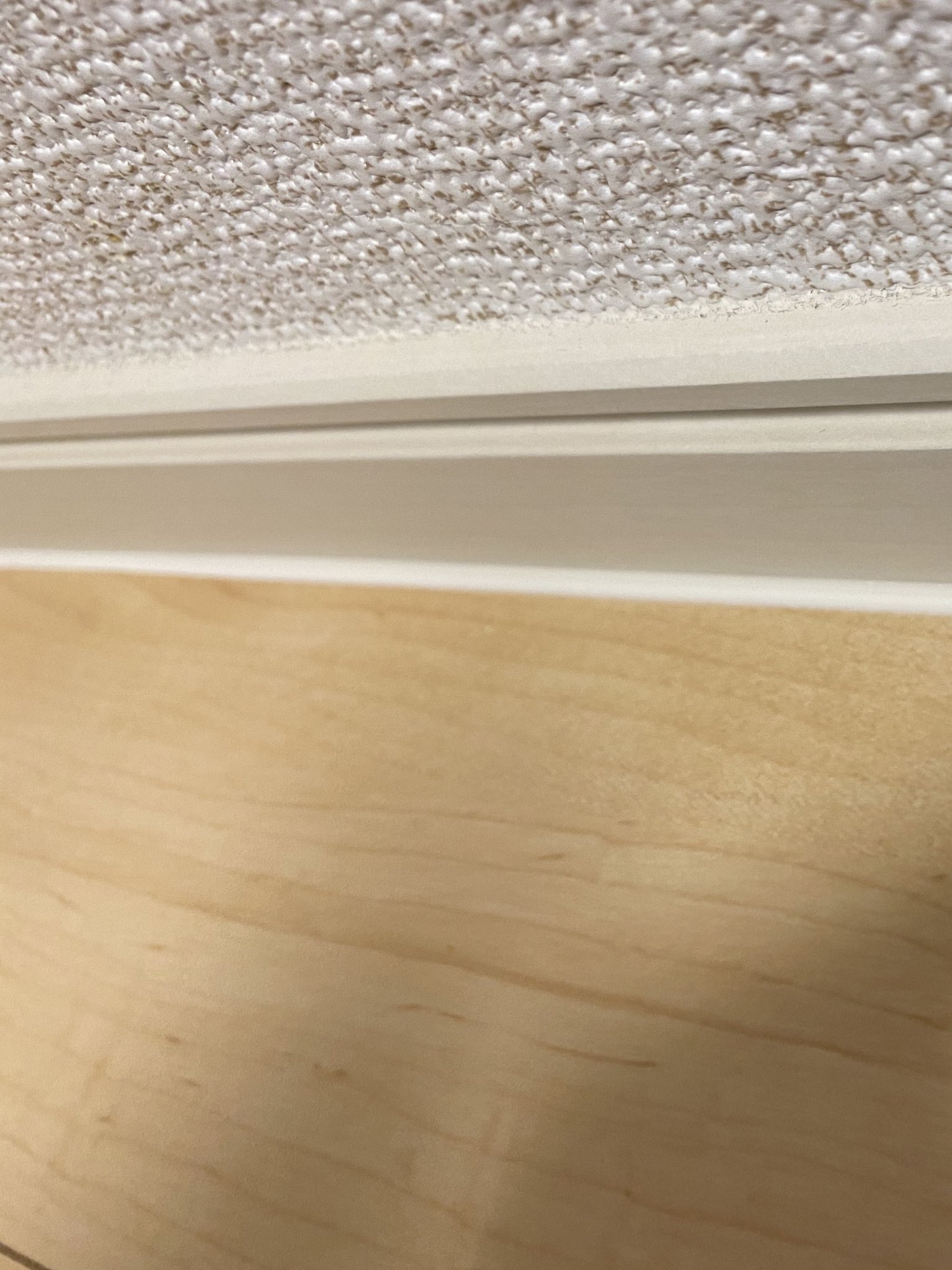 1s1m 築半年の家の中にトビムシ チャタテムシ が大量発生してて調べたら幅木と床の隙間をテープとかで埋めるといいって書いてあったから2時間かけて全部の隙間にシール打った 掃除はかなりマメにしてるだけどな T Co Cebado46sj Twitter 1s1m 築半年の家の中にトビムシ チャタテムシ が大量発生してて調べたら幅木と床の隙間をテープとかで埋めるといいって書いてあったから2時間かけて全部の隙間にシール打った 掃除はかなりマメにしてるだけどな T Co Cebado46sj Twitter