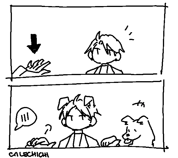 just dog things 