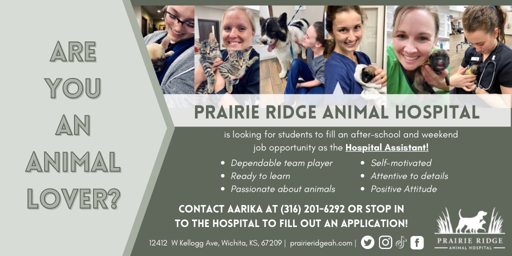 Prairie Ridge Animal Hospital tweet media