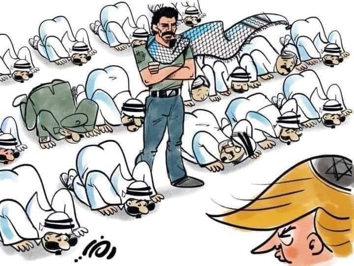 Aya Isleem 🇵🇸 #Gaza tweet media