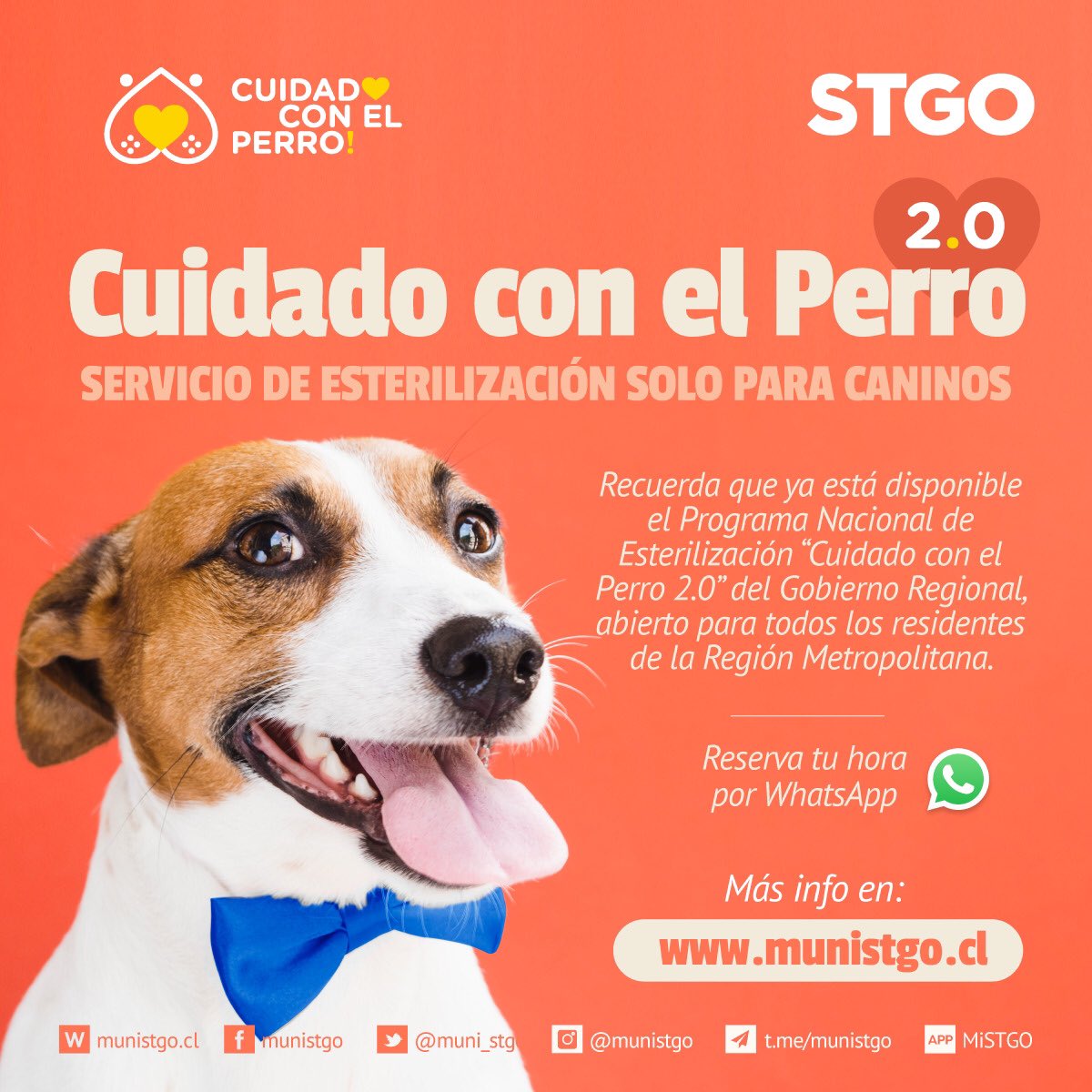 Santiago tweet media