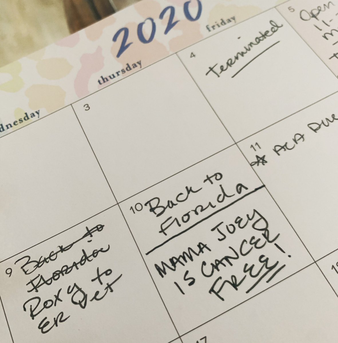 You tried hard 2020 to get me way down and it was working and then Jesus reminded us that he is King and it’s all in the palm of his hand. #amen 🤍🙌🏻