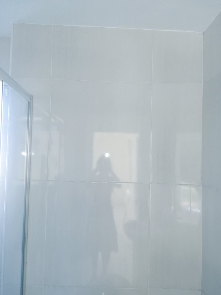 three60multi's tweet image. Mould hiding between your tiles? We will sort that problem out for you.