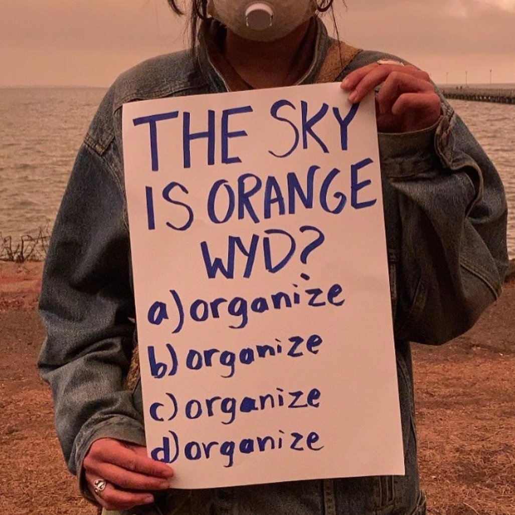 1. Over the last few days, smoke has filled our homes from burning forests and entire towns destroyed by fire.We are in a climate crisis. The decisions we make today are vital to our future and our children's future.