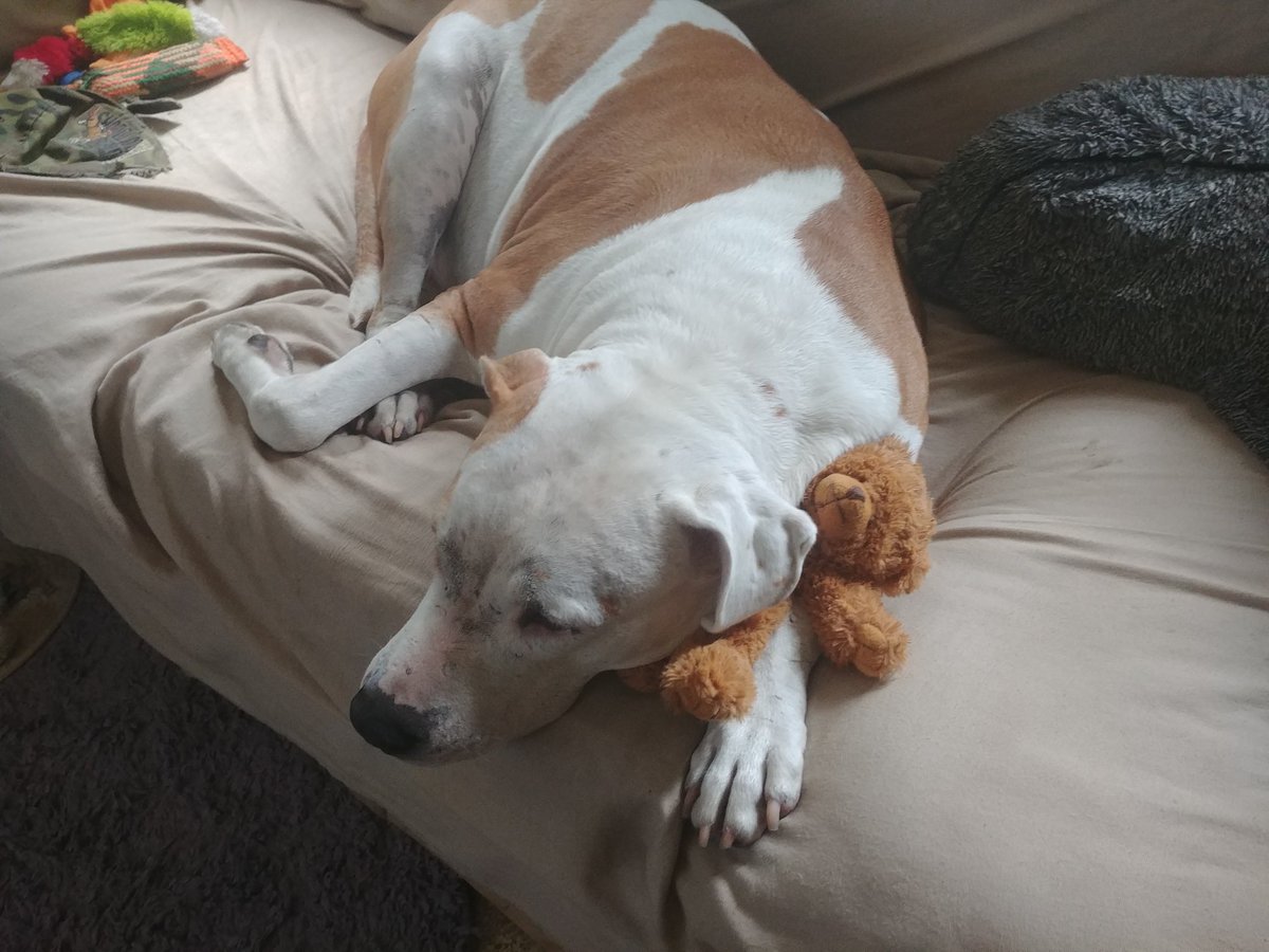 🐾💘🐾And that's love🐾❤🐾