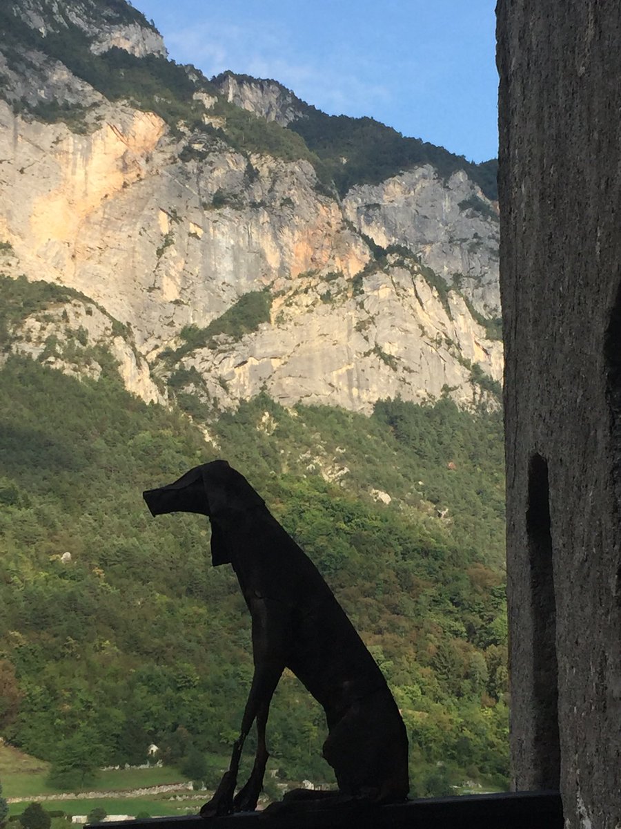 ANGELACONGIU's tweet photo. I #cani di #VelascoVitali a #CastelIvano #bassavalsugana https://t.co/f0Ca5iiRsv