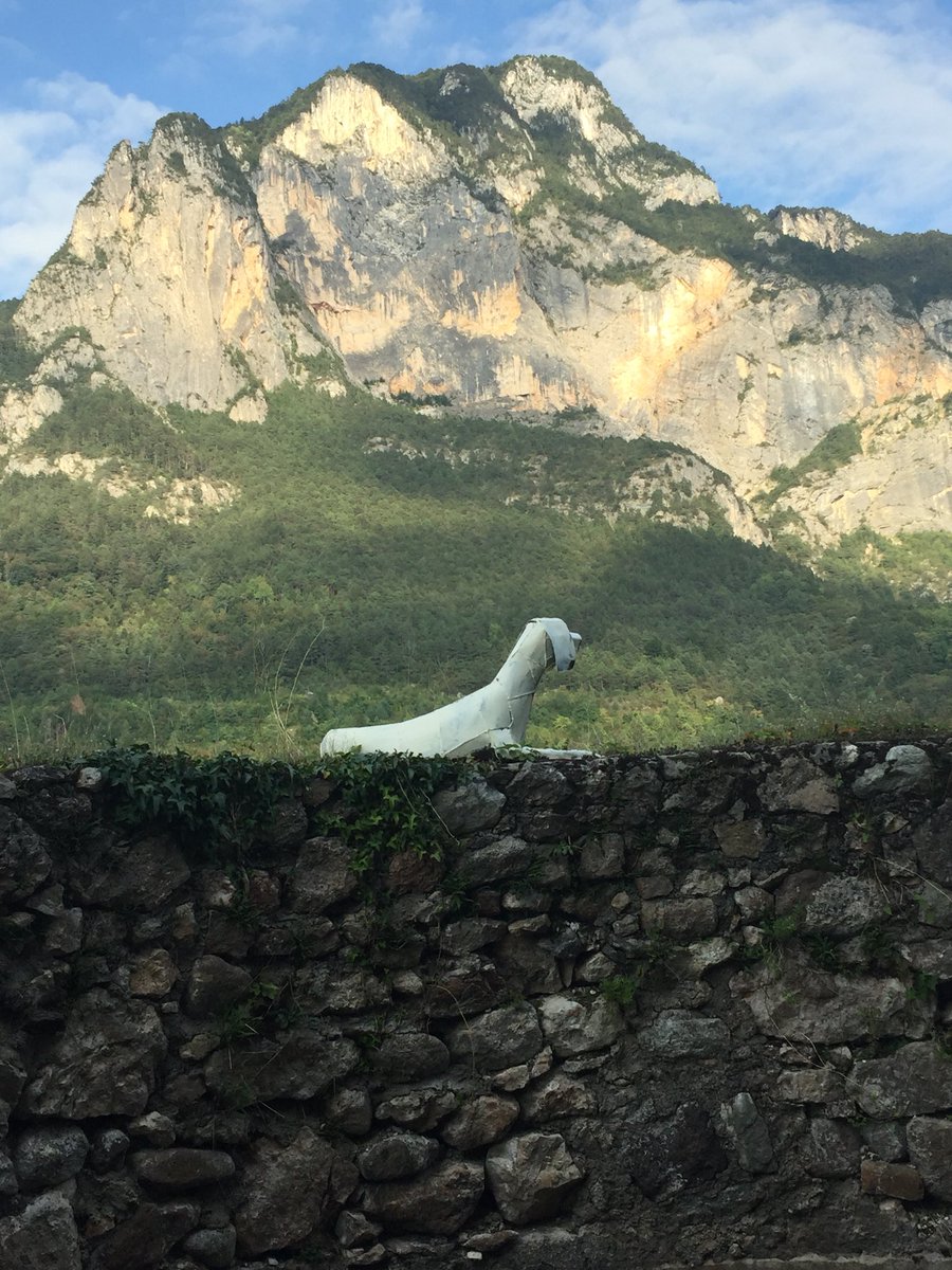 ANGELACONGIU's tweet photo. I #cani di #VelascoVitali a #CastelIvano #bassavalsugana https://t.co/f0Ca5iiRsv