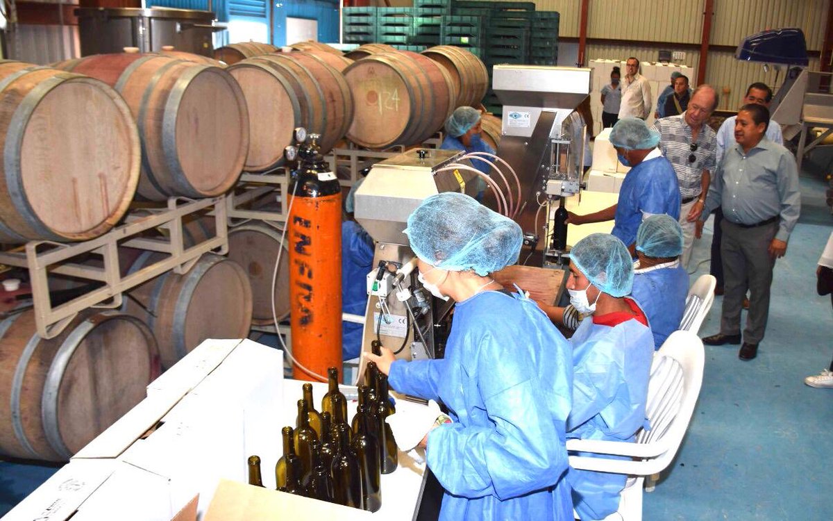 GilVillafuerte's tweet photo. #SoledadNosUne || Envío mis felicitaciones a los productores vinícolas de Pozo de Luna, creadores del vino de la etiqueta Malbec 2015, quien logró obtener la medalla de Oro en el Concurso Mundial de Bruselas ante más de 8, 500 tipos vinos de 46 países productores. ¡Enhorabuena! https://t.co/zfMquEwRrs