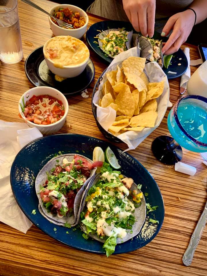 Mexicali_Blue's tweet photo. Don't mind us, we're  just working on our winter bods. 😂
#MexicaliBlue #WappingersFalls #NewPaltz https://t.co/pKrGMYQitQ