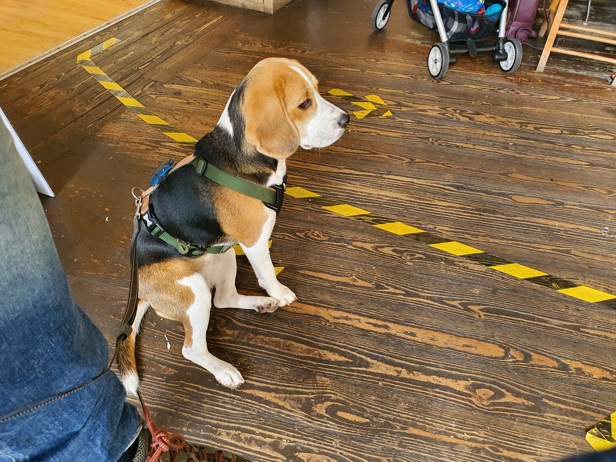 Dale Heenan tweet media