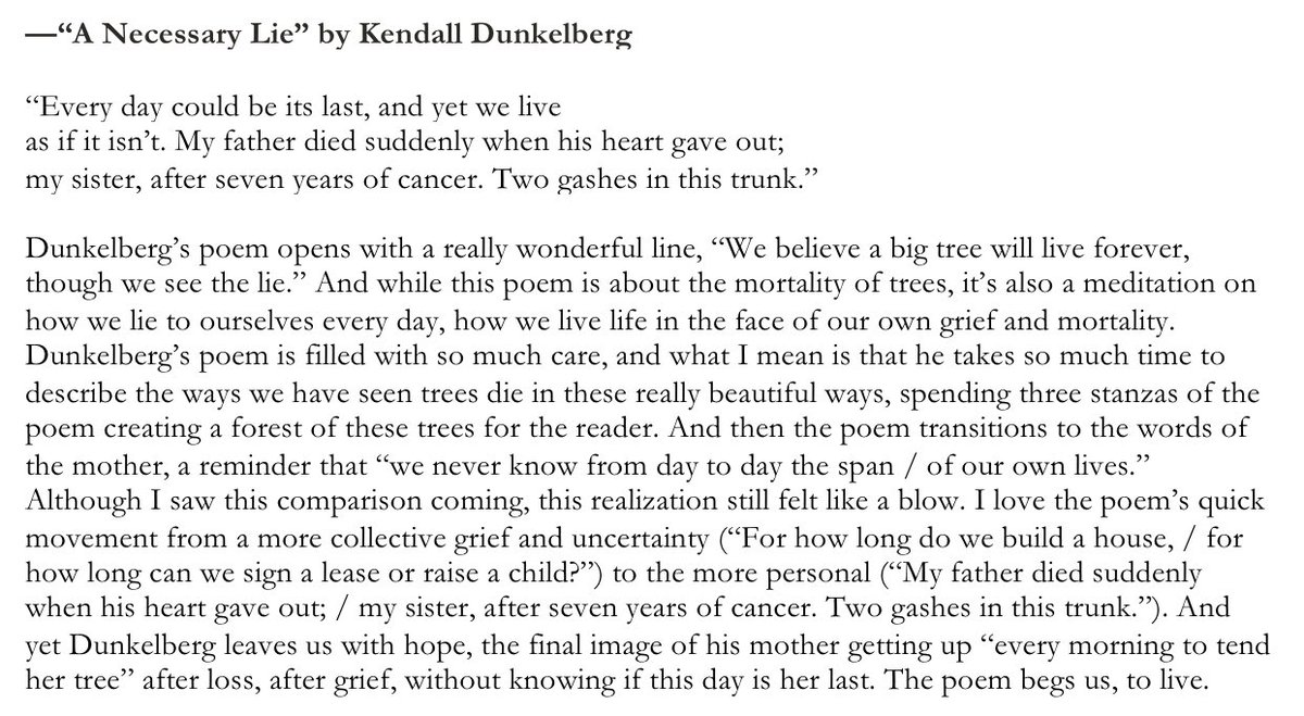 “A Necessary Lie” by Kendall Dunkelberg ( @kdunkelberg)