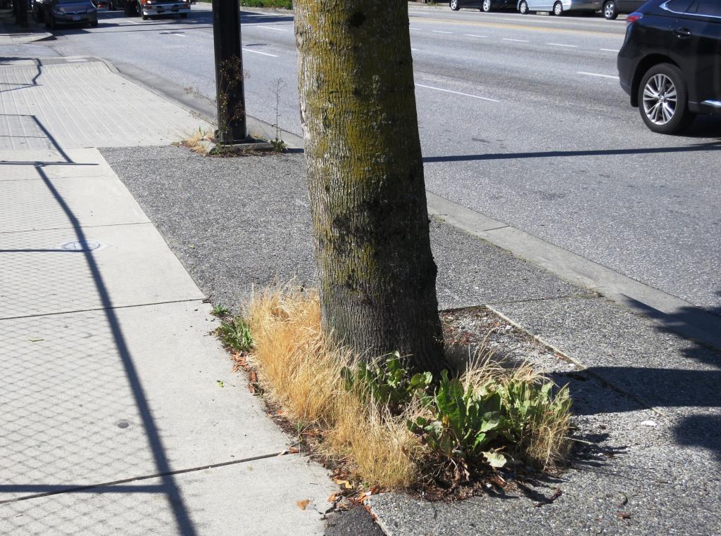 Want to know why some people are leaving Vancouver for smaller communities such as Qualicum Beach? (A picture is worth a thousand words.)