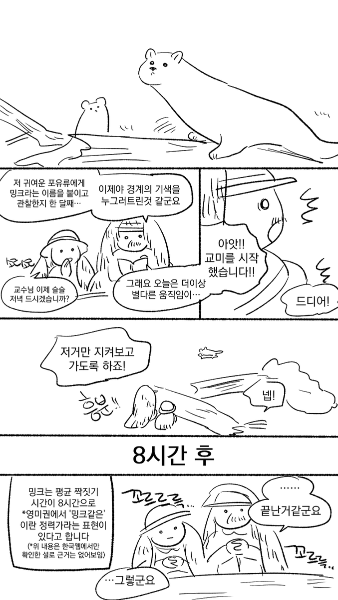 낮에 얼룩말 사정량이 실트길래 저 밍크 교미시간은 알아요 🙋‍♂️