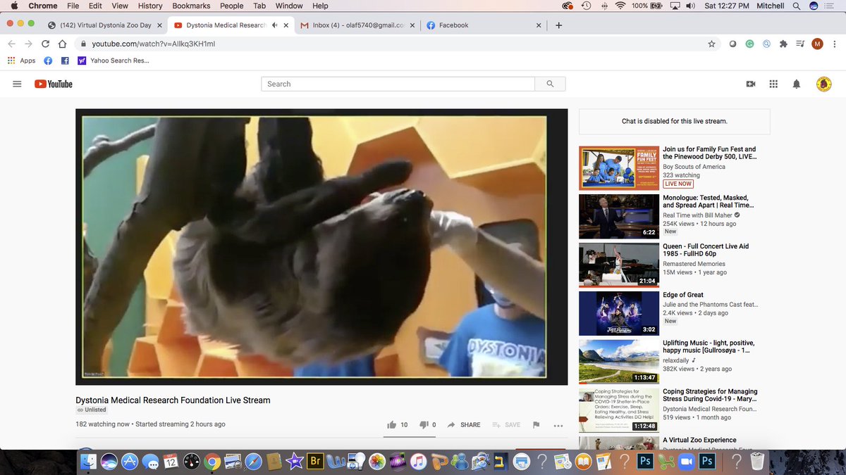 Let's Zoo This <a href="/dmrf/">Dystonia Medical Research Foundation</a> Virtual Zoo Walk. Let's beat dystonia. #dystoniaawarenessmonth #LetsZOOthis