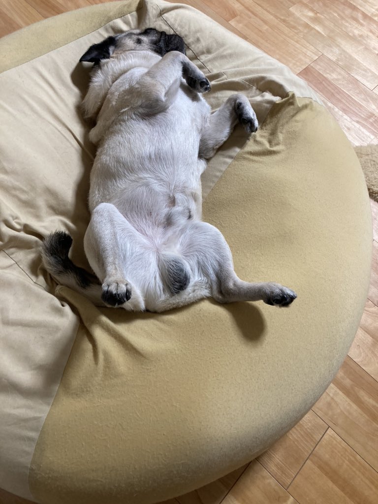 Mavi Occhanmavi Twitter