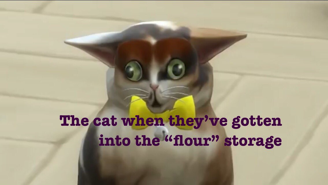 spleens the cat plush buy