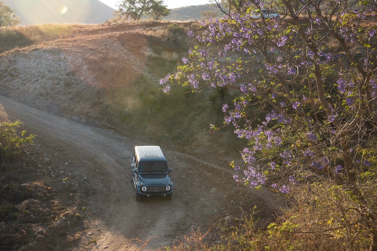 MercedesBenzMx's tweet photo. Para explorar lugares místicos, el poder todoterreno es perfecto. El sueño de nuestra Clase G la ha llevado a Oaxaca y está lista para conocer a dos artesanos que, en sus piezas, transmiten la herencia de la cultura zapoteca.
#ClaseG #EsMexicana https://t.co/UUrDmWJBo8