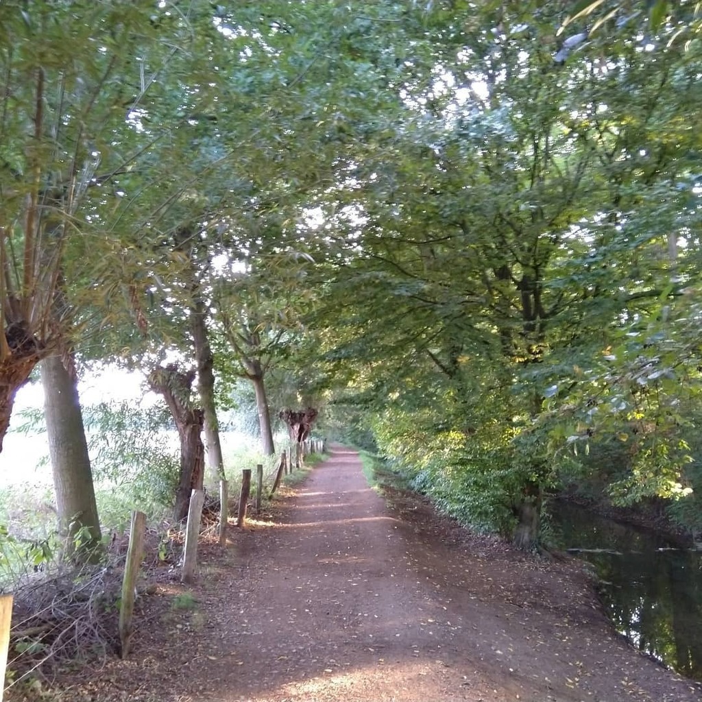 texjoachim's tweet image. #randomplaces instagr.am/p/CFCxUH4HkpZ/