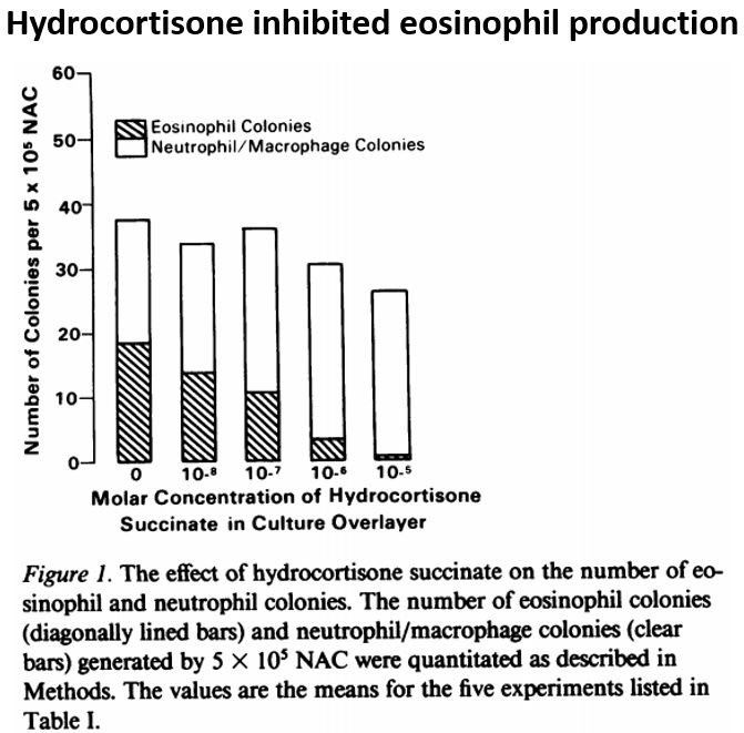 5/The first possibility is reduced bone marrow production.This was noted in a 1985 study, where hydrocortisone reduced new eosinophil development, without affecting neutrophils or macrophages. https://www.ncbi.nlm.nih.gov/pmc/articles/PMC423955/