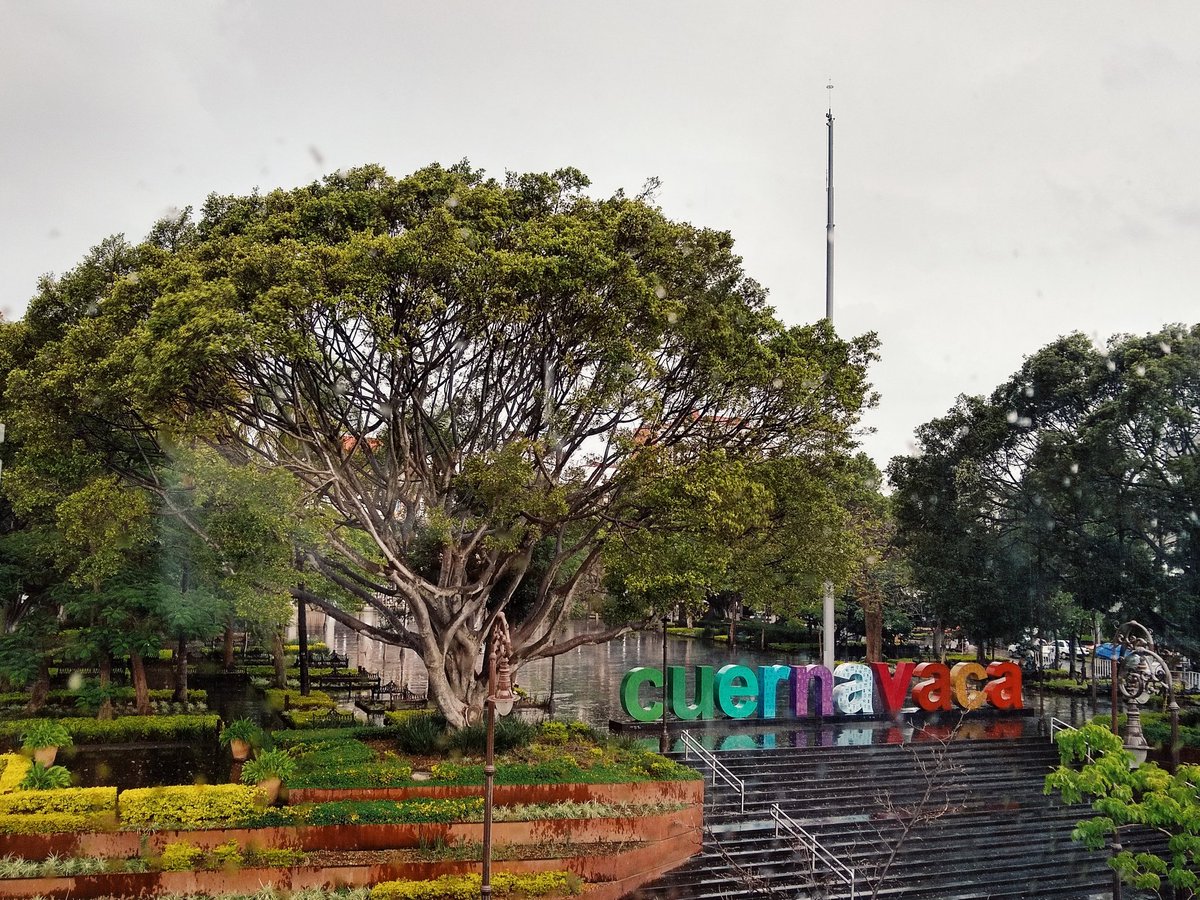 AntonioLobito01's tweet photo. ¡Qué bella se ve la ciudad limpia, de colores y llena de vida! La antigua Cuauhnáhuac, que significa “junto a los árboles”, es la Eterna Primavera de #México. https://t.co/VXhB43pEaq