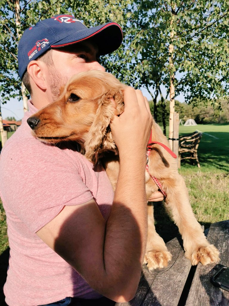 bencm305's tweet photo. Just me and the girls this afternoon ❤❤❤ @SpanielAidUK #ginganinga https://t.co/iwHcolgMQH