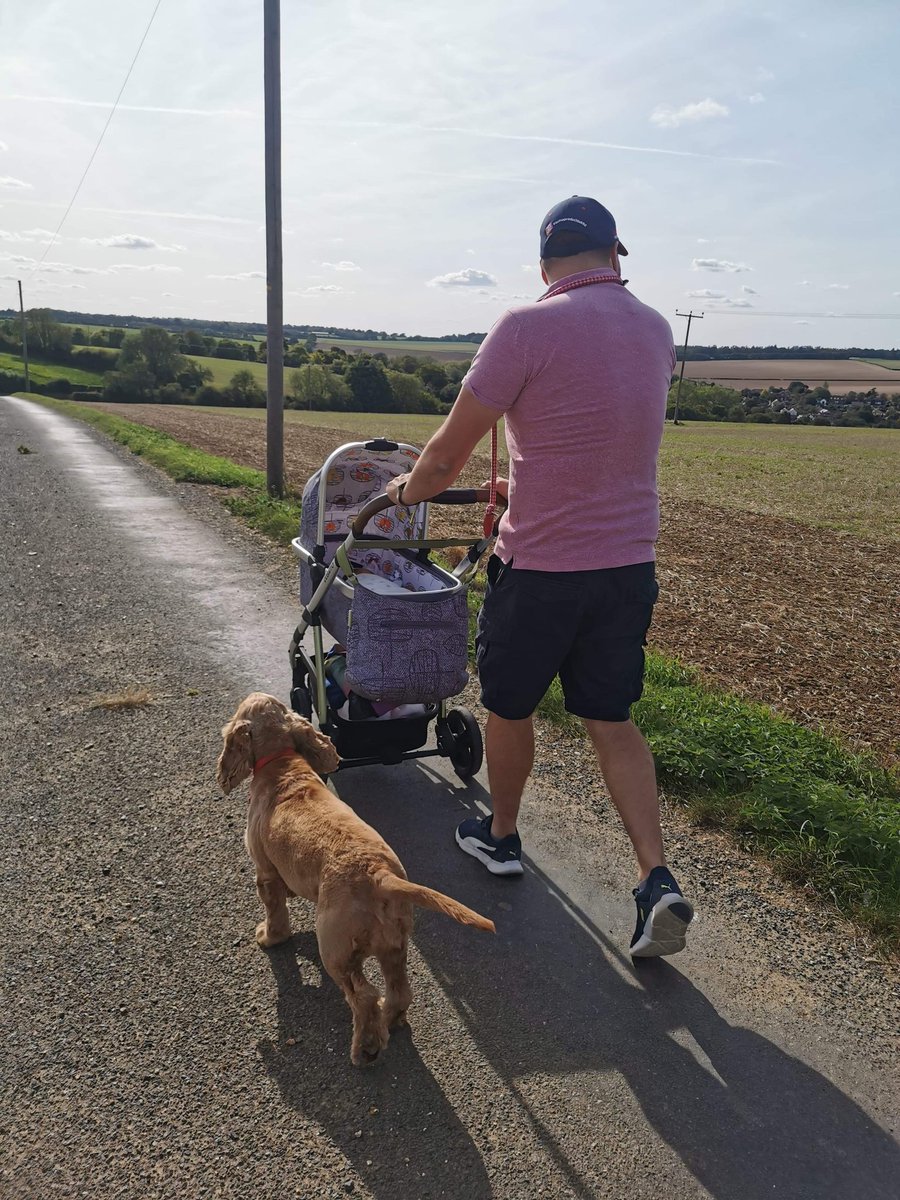 bencm305's tweet photo. Just me and the girls this afternoon ❤❤❤ @SpanielAidUK #ginganinga https://t.co/iwHcolgMQH