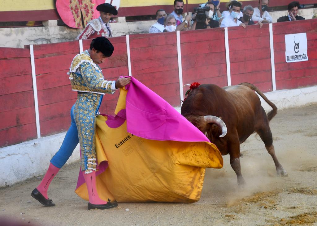 TorosBaza's tweet photo. 🏟 𝗗𝗶𝗿𝗲𝗰𝘁𝗼 | 1️⃣ @EPonceOficial, oreja en el que abrió plaza. 
🐂 “Productor-37”, de Román Sorando, palmas. https://t.co/9FNC7GhtdY