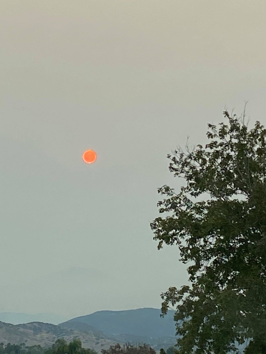 DecouvrirLA's tweet photo. Suite aux incendies autour de Los Angeles, une impressionnante fumée cache le soleil ces derniers jours. 🥴🔥
photos de @CYCOBOSVARGAS
#LosAngeles #LosAngelesFires #incendies #California #EtatsUnis #USA #Yucaipa #ElDoradoFire #fumée #hiddensun #voyage #travelsafe #fog https://t.co/9o4nZJ15y9