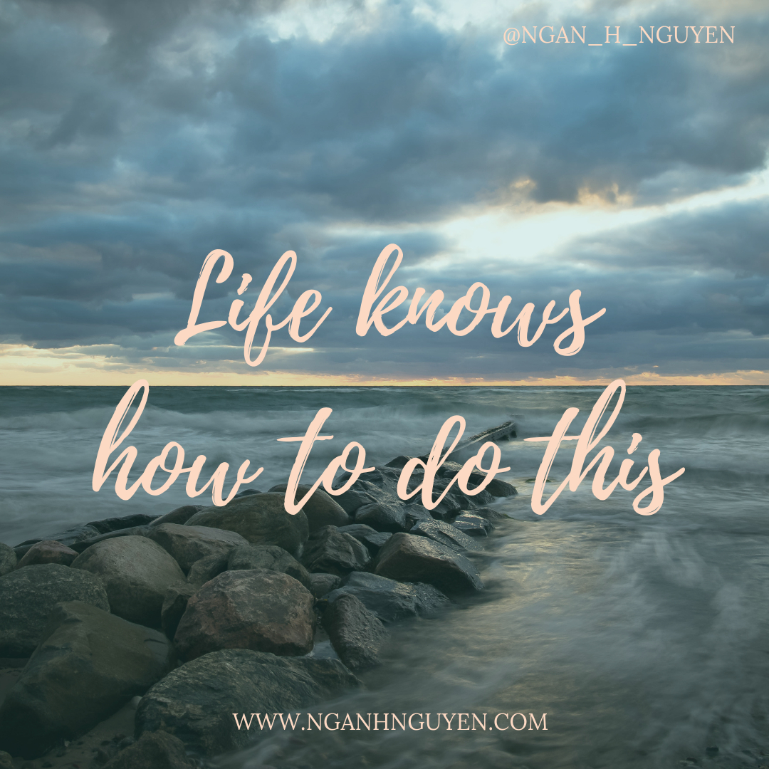 nguyenng's tweet photo. It gave us the dream, the vision, the idea. Now we just need to surrender and take the steps that can be taken. Do our best, do our part, and trust that this life will do it's job.

#consciousbusiness #purposedriven #higherconsciousness #soulaligned #findyourwhy #consciousliving https://t.co/Qo1Uz5JaHM