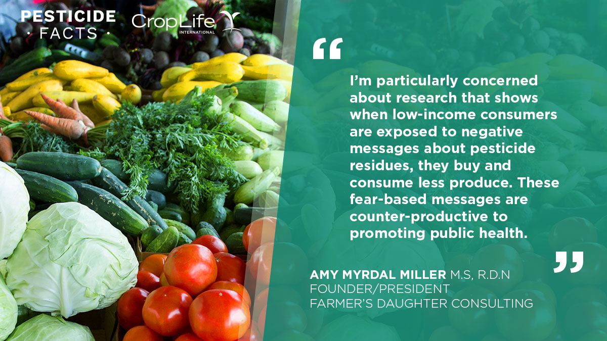 What do the experts say about misconceptions about pesticides and fruit and vegetable consumption? Don't let fear or misinformation rule the day. Check out our quote cards! #PesticideFacts  <a href="/FuturityFood/">Futurity Food</a> <a href="/AmyMyrdalMiller/">Amy Myrdal Miller</a> <a href="/Dirt_To_Dinner/">Dirt To Dinner</a> pesticidefacts.org/perspectives/