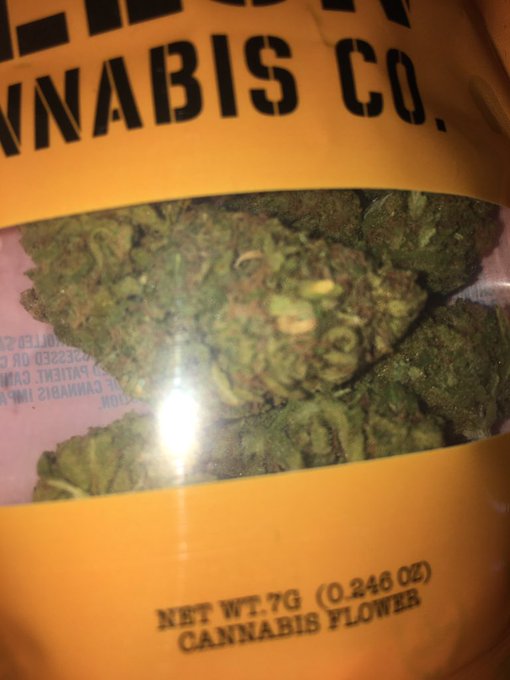 #realkushboy @youtube.com/realkushboy https://t.co/oDirUhOASd<a href="/tag/realkushboy"class="tags">#realkushboy</a><a class="tags" target="_blank" title="On Twitter" href="/?out=eyJ0eXAiOiJKV1QiLCJhbGciOiJIUzUxMiJ9.eyJpYXQiOjE3MjU1Nzc1NTQsImlzcyI6InR3cG9ybnN0YXJzLmNvbSIsIm5iZiI6MTcyNTU3NzU1NCwiZXhwIjoxNzU3MTEzNTU0LCJyZWRpcmVjdF91cmwiOiJodHRwczovL3R3aXR0ZXIuY29tL3lvdXR1YmUifQ.f7oflNahN1i1G69trYHmisljWkFJFpAMXI18qXxi8kCbPcGyYWRaV3AWV6Y38sYxAzWdQ37DDRlpR1sNZMoB5w">@youtube</a>