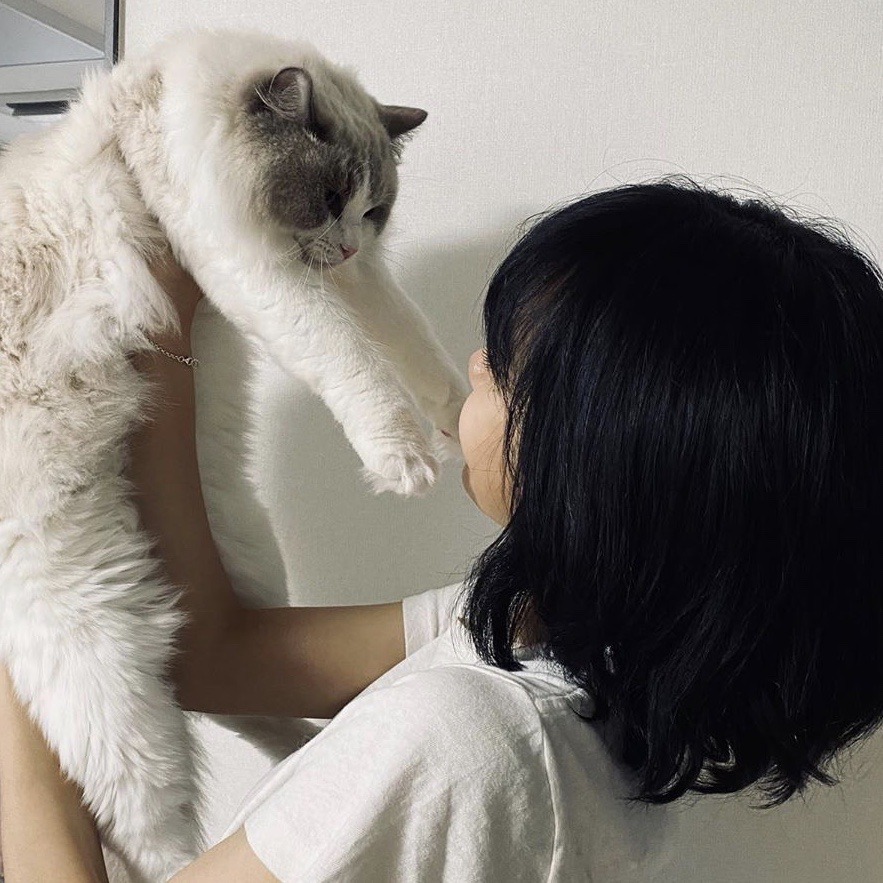 manochistic's tweet photo. ironically or not, this is a cat friendly page. https://t.co/evNUyUDEEc