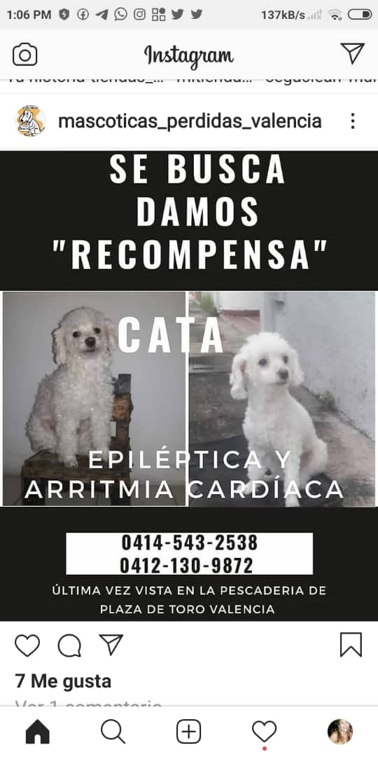 yaracalcagno's tweet photo. Se busca. https://t.co/gfIEUkX15w