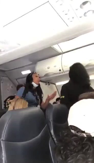 "Selfishly entitled, anti-White bigoted Black woman disrespects & bullies peaceful White airline employee & fellow White passengers on flight." #BlackPrivilege  #WhiteLivesMatter  #WeaponizedLeftism