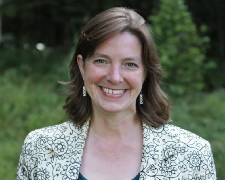 Two of the wonderful candidates we supported in 2018, when they were ignored by the national Democratic Party, Alyse Galvin and Diane Mitsch Bush, are now in the front ranks of the DCCC's Red-to-Blue list, the list of national races the party considers most winnable