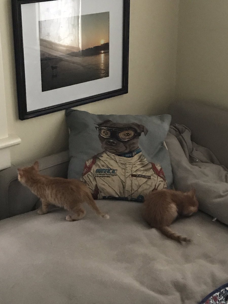 The Baked Potato approves of the invading orangeys. This election is a FRAUD!!