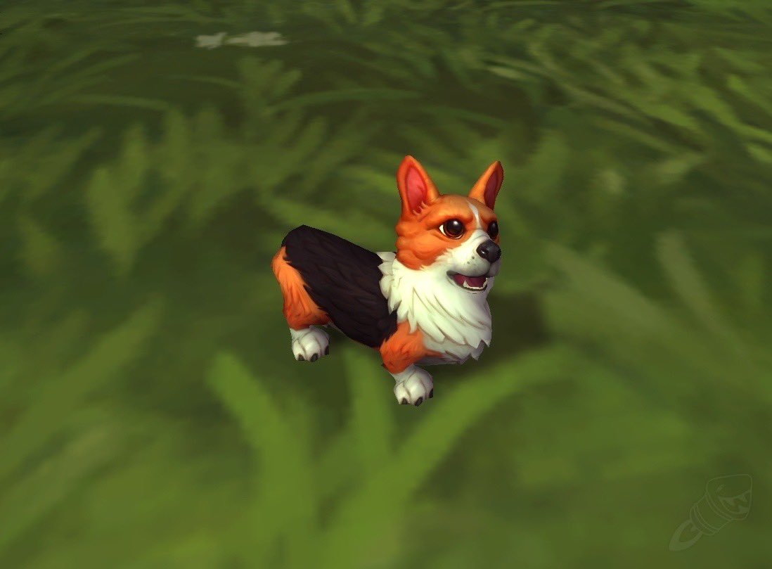 if u like dogs and world of warcraft open this thread