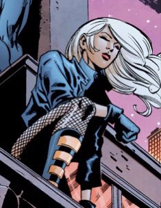@FabledHawkgirl — and forcefully slamming her against the rooftop as Dinah used the sheer strength of her core to catapult backwards.

“I’ve said enough,” Black Canary would utter as she rolled backwards into a crouched stance.

#WarOfEquity
