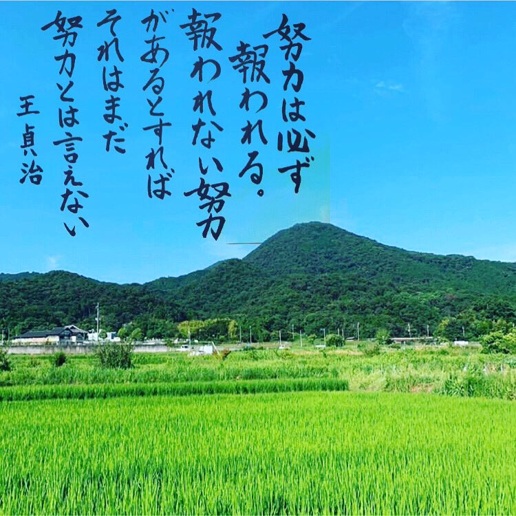 تويتر せんねんじ 専念寺 على تويتر 日の法語 努力は必ず報われる もし報われない努力があるのならば それはまだ努力と呼べない 王貞治 読売ジャイアンツ T Co 5umegi5n2x