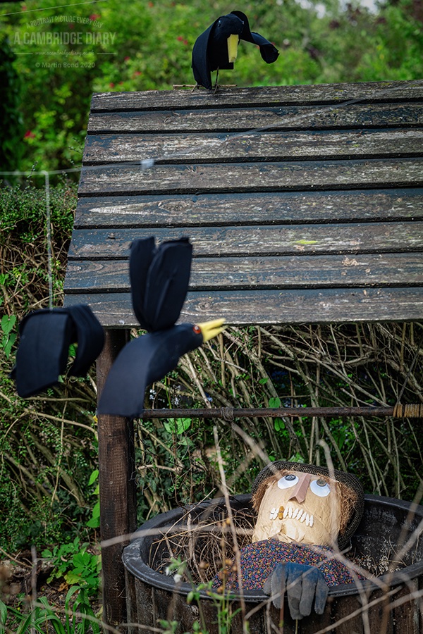 Some left me perplexed, some deeply concerned, many mad me laugh out loud but all made me smile / ... #haslingfieldscarecrowfestival