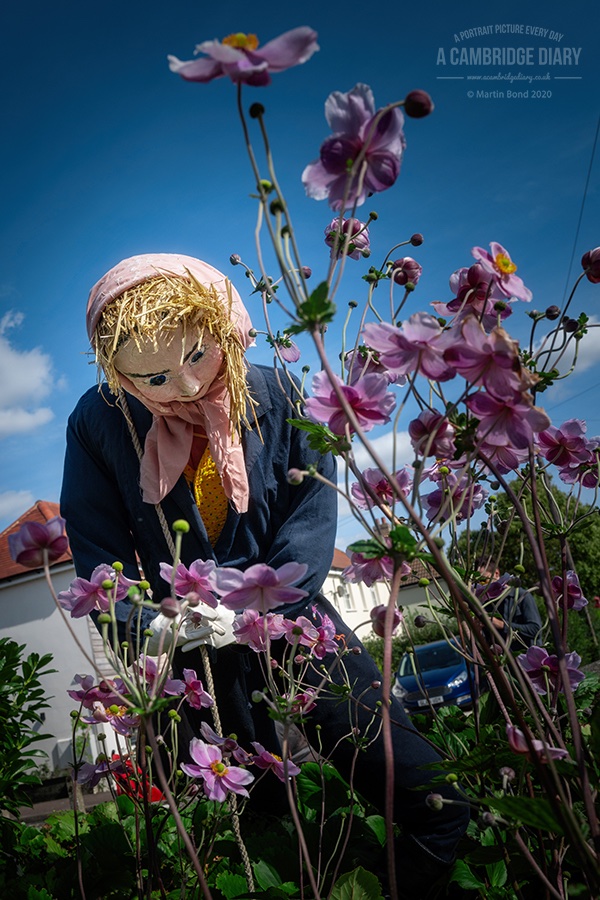 Today was my first visit and I'm so glad I went.There are probably over 100 scarecrows on display so I'm sure I didn't get them all but here are quite a few / ... #haslingfieldscarecrowfestival