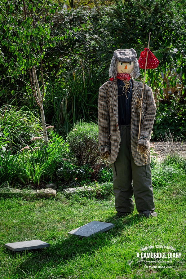 Go tomorrow if you can for the last day. #haslingfieldscarecrowfestival