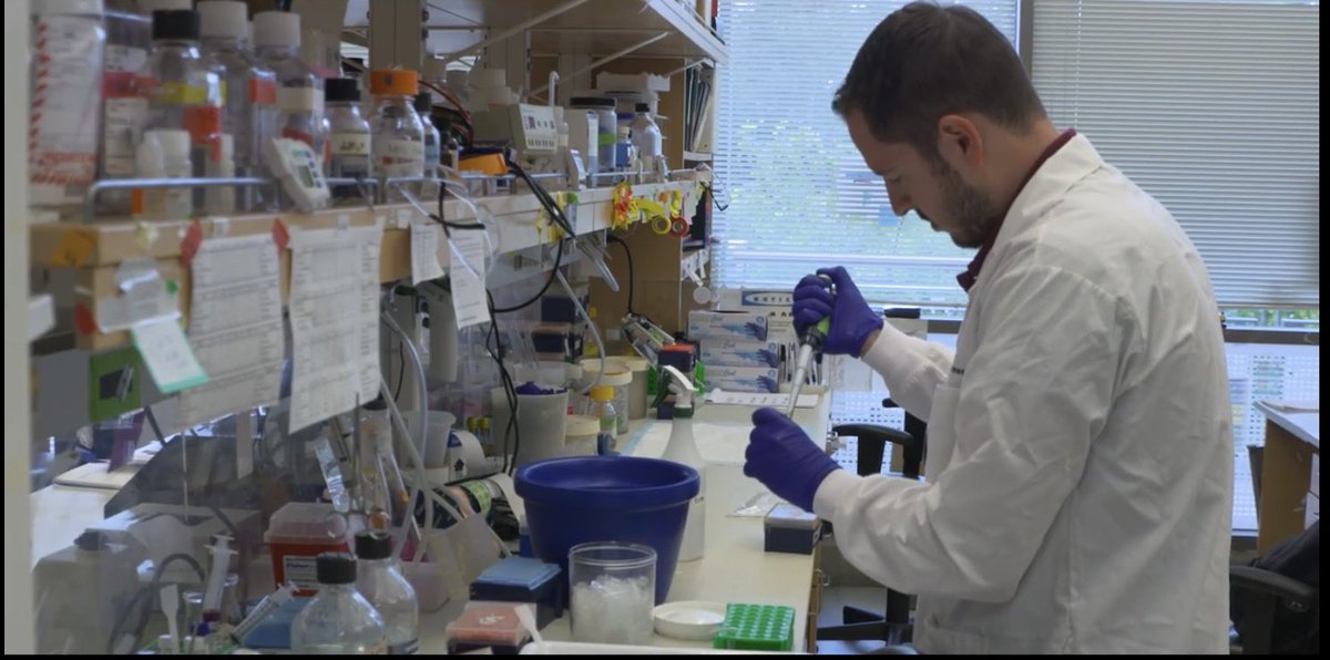 <a href="/ASPET/">ASPET</a> Thanks <a href="/iubmb/">IUBMB</a> for the picture at the bench on my 25th birthday!