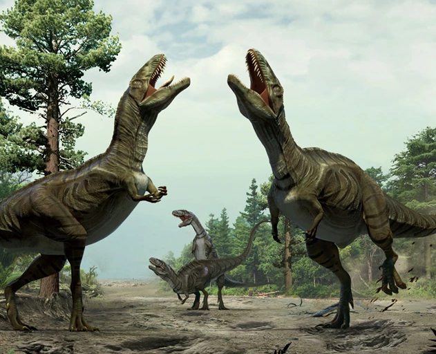 VColoridos's tweet photo. Quer saber como é a sequência de vapo de dinossauro? Segue o fio
📷- Xing Lida. https://t.co/GZ7BAy4KRl