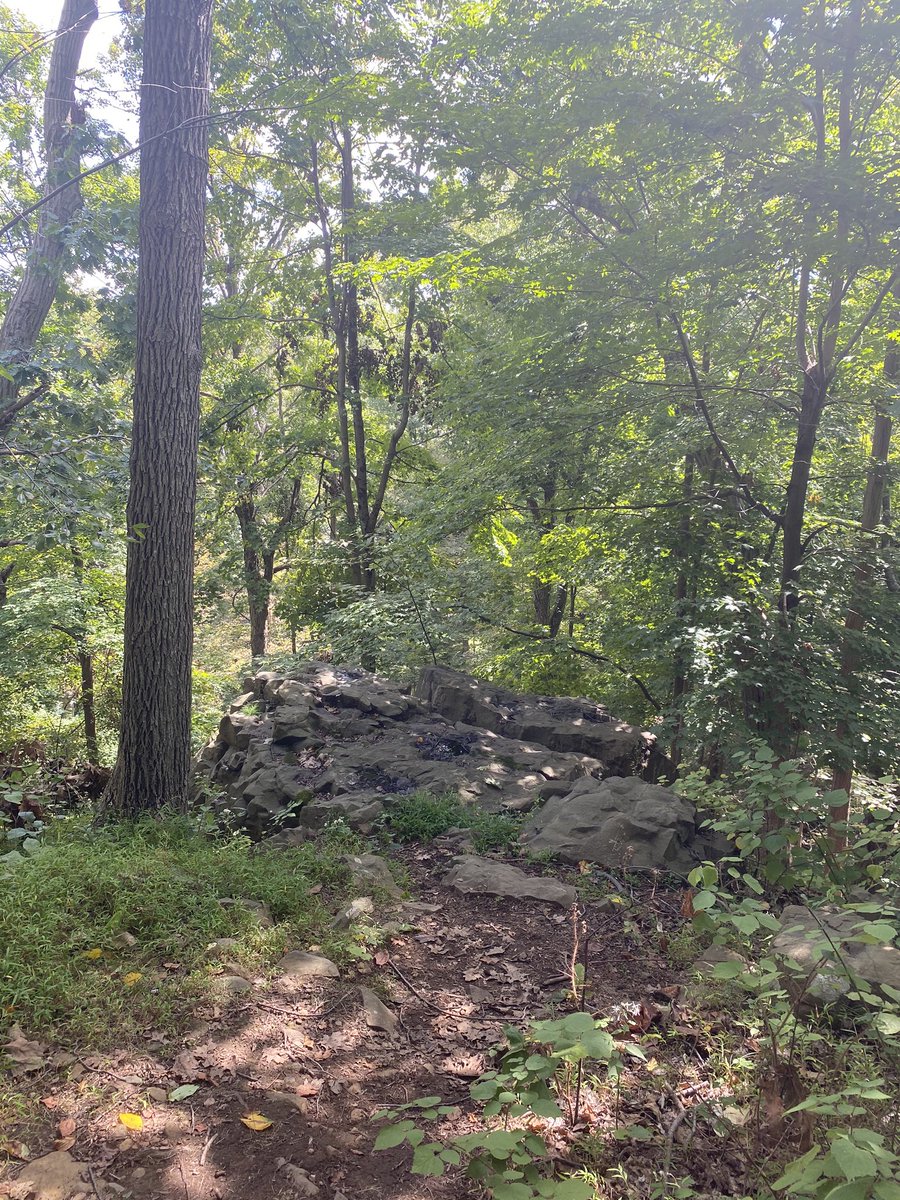 JillGW's tweet photo. Always enchanted #IdRatherBeHiking https://t.co/y7Q40Hi6DU