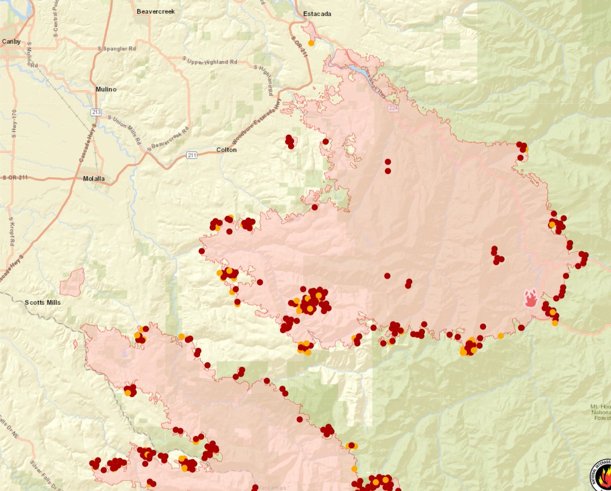 Mark Nelsen tweet media