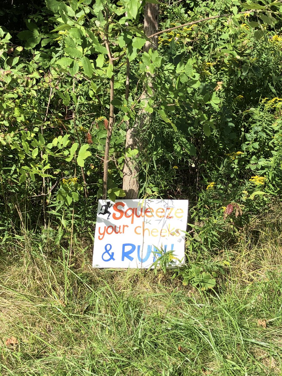 TheJasperLam's tweet photo. This morning we walked and ran in memory of a great friend and colleague Matt Chevalier. #GoneButNotForgotten #MJC4ever #myelomacanada #runformatt #jazzhandsforever https://t.co/OAkPPXaZEL