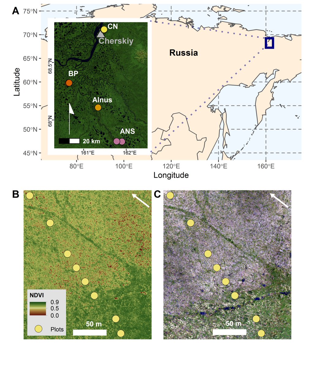 DrKJoyce's tweet photo. New paper from @annatalucci just published in our #SheMaps special issue of @RemoteSens_MDPI 

Evaluating Post-Fire Vegetation Recovery in Cajander Larch Forests in Northeastern Siberia Using #UAV #drone Derived Vegetation Indices

https://t.co/5kKxmehvW3

#remotesensing #RPAS https://t.co/qFvrWiq1tR