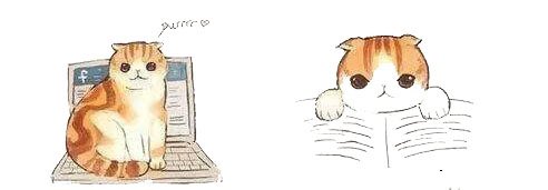 ليش قطوتي تتسلط لما امسك الكتاب او التلفون او الابتوب تحاول تقعد عليهم او تعضهم؟القطو كائن غيور ومتملك..اي اي يغار من اي شي يلهيك عنهيبي تركيزك كله يكون معاه يتبع..